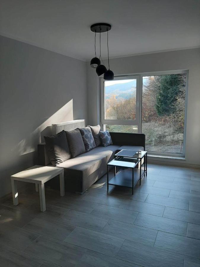 Apartament Lilu Szklarska Poręba Buitenkant foto